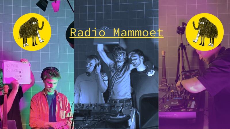 Radio Mammoet: de Silent Shakedown