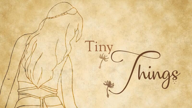 Linda Avera - Tiny Things