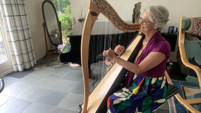 De inspirerende klank van de Keltische Harp