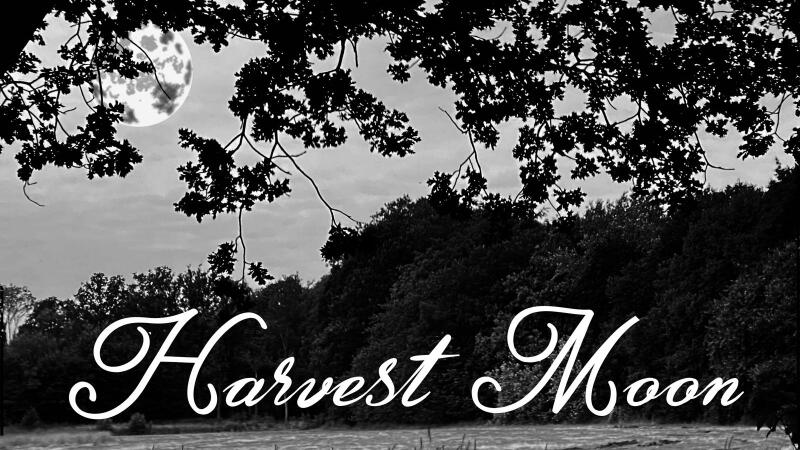 Harvest Moon (voorheen Nicole&Friends)