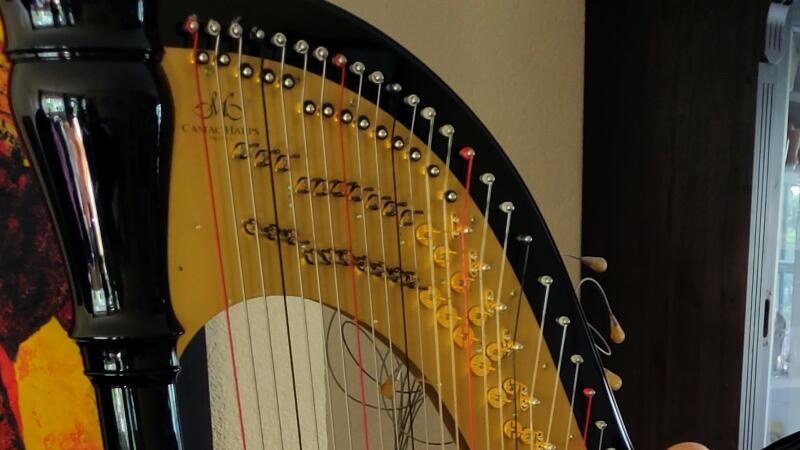 Harpconcert en open podium