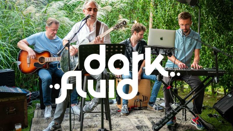 Dark Fluid