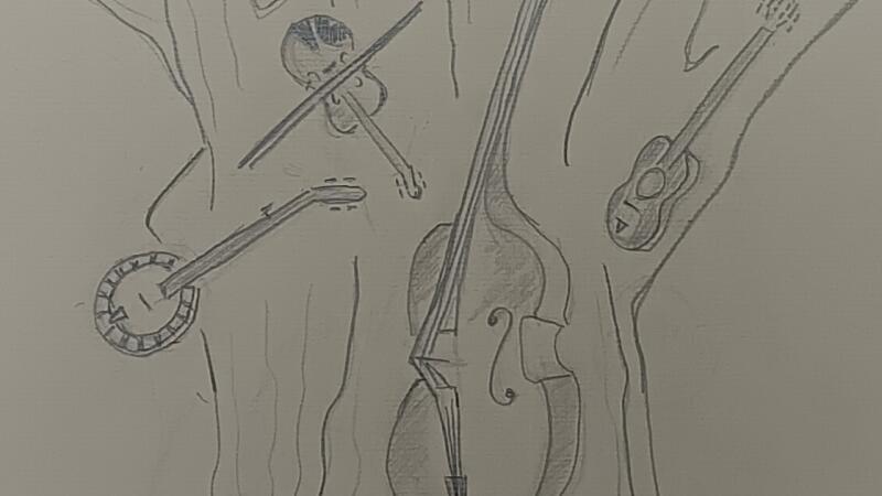 Wide Willow Folkband