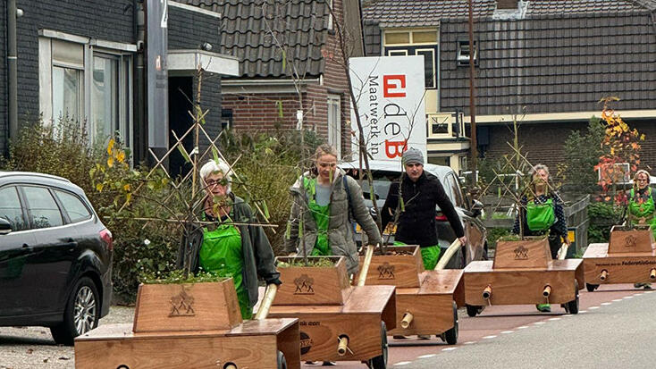 De Wandelende Bomen