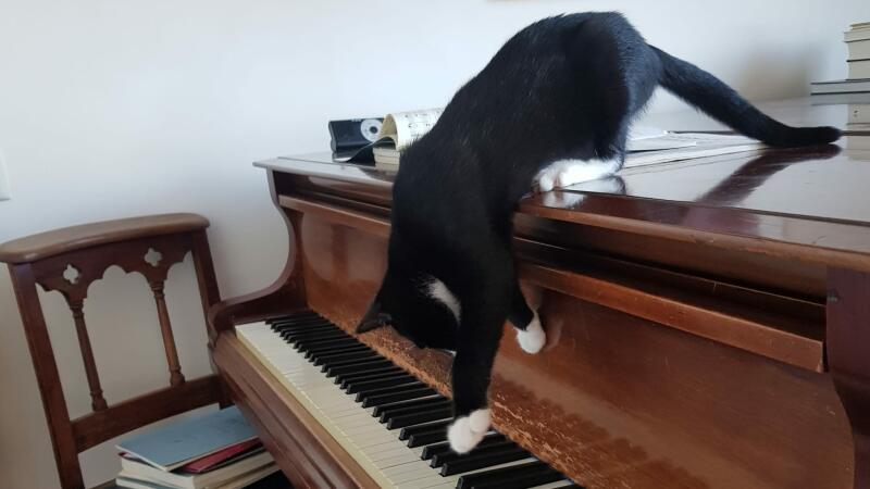 Van Chopin tot Statius-Muller, en misschien nog wel Bach; Anja speelt pianomuziek