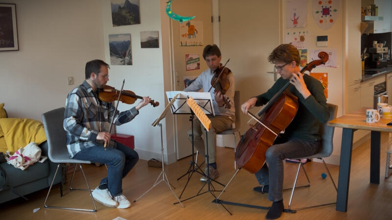 Bachs Goldbergvariaties voor strijktrio
