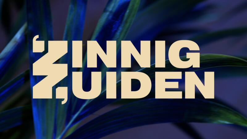 Zinnig Zuiden presenteert: showpony's!